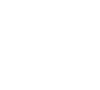 one id mint fintech group